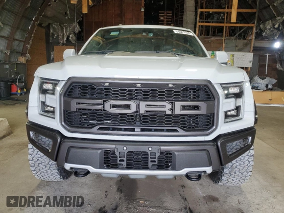 2017 Ford F-150 Raptor with VIN 1FTFW1RG4HFA83875, listed as a Copart auction lot 54001705 with 25,656 mi miles and Salvage Title. Bid and sale history available at carsss.com. Image 5.