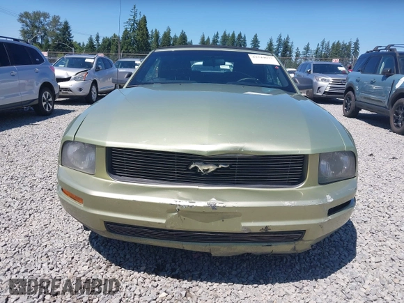 2005 Ford Mustang Deluxe with VIN 1ZVFT84N755254849, listed as a IAAI auction lot 42544077 with 276,391 mi miles and . Bid and sale history available at DreamBid. Image 12.