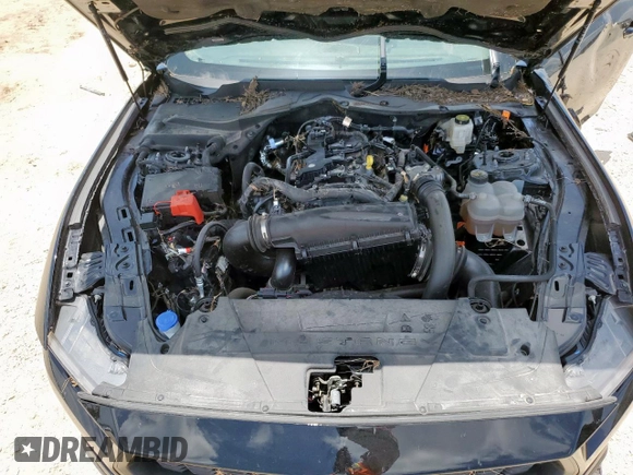 2024 Ford Mustang EcoBoost с VIN 1FA6P8TH8R5121211, выставлен на аукционе Copart как лот 61043315 с пробегом Не указан миль и Списание • Salvage title. История ставок и продаж доступна на DreamBid. Изображение 11.