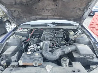 2006 Ford Mustang Standard with VIN 1ZVFT80N865227313, listed as a IAAI auction lot 42069301 with 170,528 mi miles. Bid and sale history available at carsss.com. Image 10.