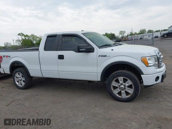 2010 Ford F-150 XL with VIN 1FTFX1EV2AFD40281, listed as a IAAI auction lot 42131196 with 169,058 mi miles. Bid and sale history available at carsss.com. Image 13.