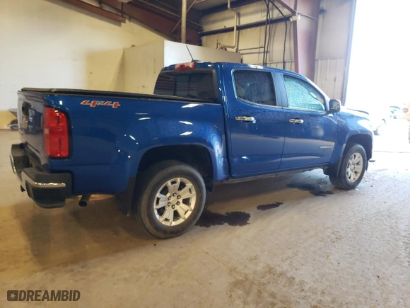 2019 Chevrolet Colorado 4WD LT with VIN 1GCGTCEN2K1125882, listed as a Copart auction lot 49137635 with 47,698 mi miles and Non Repairable. Bid and sale history available at carsss.com. Image 3.
