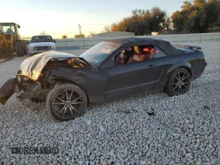2006 Ford Mustang GT Deluxe with VIN 1ZVHT85HX65145658, listed as a Copart auction lot 84505894 with 0 mi miles and Salvage Title. Bid and sale history available at carsss.com. Image 1.