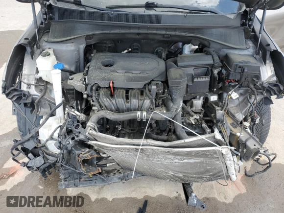 2019 Kia Sorento LX with VIN 5XYPG4A33KG509006, listed as a Copart auction lot 52101645 with 0 mi miles and Non Repairable. Bid and sale history available at carsss.com. Image 12.