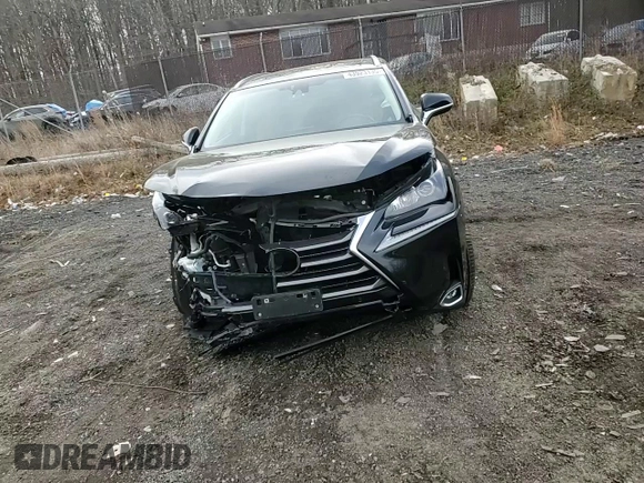 2017 Lexus NX with VIN JTJBARBZ3H2133225, listed as a Copart auction lot 43923135 with 120,793 mi miles and Salvage Title. Bid and sale history available at carsss.com. Image 11.