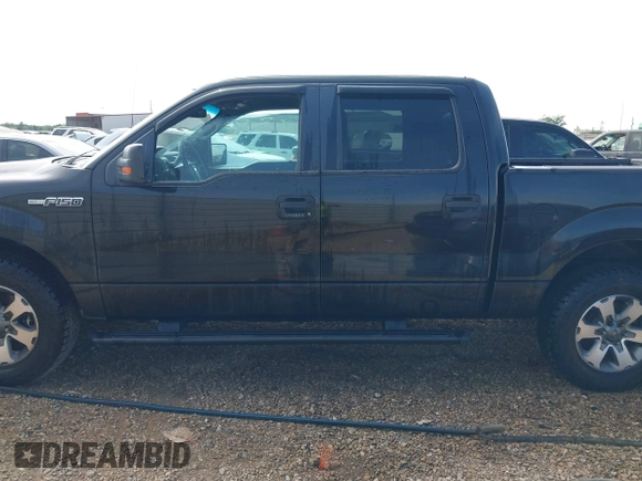 2012 Ford F-150 XL with VIN 1FTEW1CM5CFB80098, listed as a IAAI auction lot 42098438 with 216,694 mi miles. Bid and sale history available at carsss.com. Image 14.