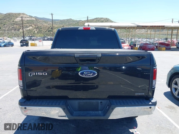 2015 Ford F-150 XL with VIN 1FTEW1CF9FFA30372, listed as a IAAI auction lot 42185034 with 232,099 mi miles and . Bid and sale history available at carsss.com. Image 16.