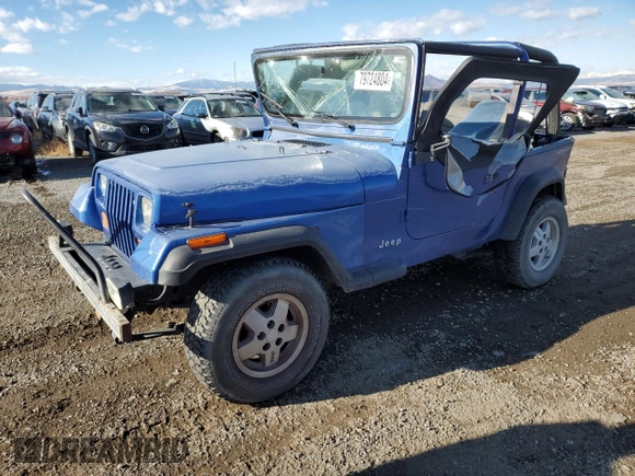 1995 Jeep Wrangler S with VIN 1J4FY19P8SP242032, listed as a Copart auction lot 79724804 with 142,588 mi miles and Clean Title. Bid and sale history available at carsss.com. Image 1.