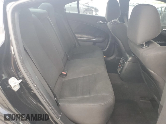 2014 Dodge Charger RT with VIN 2C3CDXDT9EH156429, listed as a Copart auction lot 72791694 with 171,052 mi miles and Salvage Title. Bid and sale history available at carsss.com. Image 10.