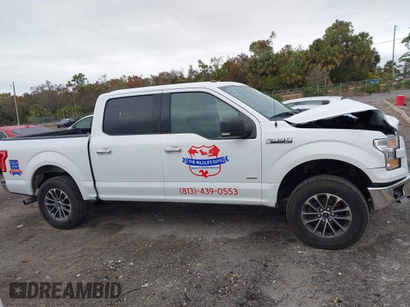 2017 Ford F-150 XL with VIN 1FTEW1EP6HFB40594, listed as a IAAI auction lot 41309921 with 184,454 mi miles. Bid and sale history available at carsss.com. Image 13.
