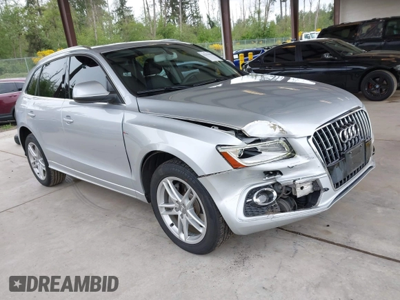 2013 Audi Q5 Premium Plus with VIN WA1DGAFP2DA069290, listed as a IAAI auction lot 42294476 with 123,515 mi miles and . Bid and sale history available at DreamBid. Image 1.
