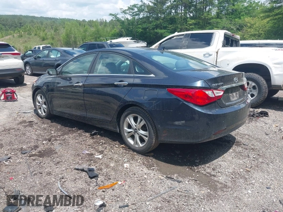 2011 Hyundai Sonata Limited with VIN 5NPEC4AC2BH098239, listed as a IAAI auction lot 42100917 with 99,116 mi miles and . Bid and sale history available at DreamBid. Image 3.