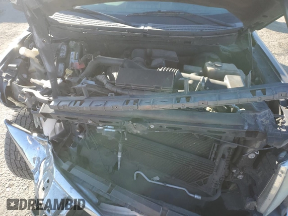 2009 Ford F-150 XLT with VIN 1FTRX12V19FA99116, listed as a Copart auction lot 84876434 with 169,975 mi miles and Salvage title. Bid and sale history available at DreamBid. Image 12.
