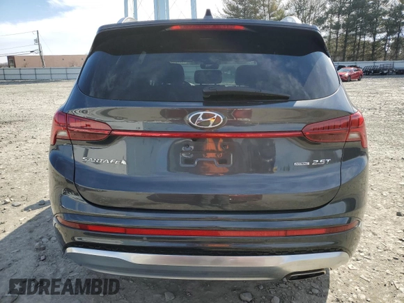 2023 Hyundai Santa Fe Calligraphy with VIN 5NMS5DAL2PH640568, listed as a Copart auction lot 45269215 with 19,962 mi miles and Salvage Title. Bid and sale history available at carsss.com. Image 6.