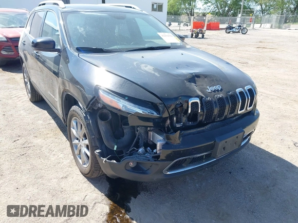 2017 Jeep Cherokee Limited with VIN 1C4PJMDS2HD239018, listed as a IAAI auction lot 42254356 with 129,673 mi miles and . Bid and sale history available at DreamBid. Image 6.