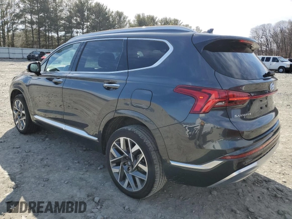 2023 Hyundai Santa Fe Calligraphy with VIN 5NMS5DAL2PH640568, listed as a Copart auction lot 45269215 with 19,962 mi miles and Salvage Title. Bid and sale history available at carsss.com. Image 2.