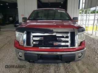 2010 Ford F-150 XL with VIN 1FTFX1EV4AKE15909, listed as a Copart auction lot 58553515 with 126,257 mi miles and Salvage title. Bid and sale history available at DreamBid. Image 5.