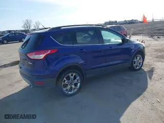 2014 Ford Escape SE with VIN 1FMCU0GX0EUB45748, listed as a IAAI auction lot 41778738 with 305,995 mi miles. Bid and sale history available at carsss.com. Image 4.