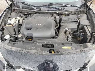 2016 Nissan Maxima 3.5 SL with VIN 1N4AA6AP3GC446836, listed as a Copart auction lot 51251395 with 0 mi miles and Salvage Title. Bid and sale history available at carsss.com. Image 11.