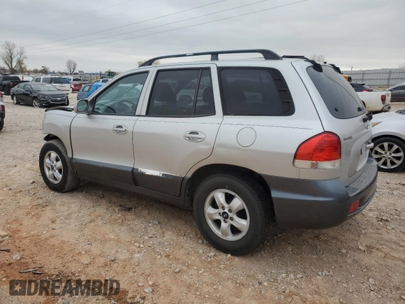2005 Hyundai Santa Fe GLS with VIN KM8SC13D35U906966, listed as a Copart auction lot 84896974 with 0 mi miles and Salvage Title. Bid and sale history available at carsss.com. Image 2.