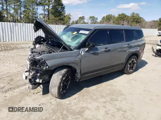 2024 Hyundai Santa Fe SE with VIN 5NMP1DGL2RH054366, listed as a Copart auction lot 54133205 with 16,924 mi miles and Non repairable. Bid and sale history available at DreamBid. Image 1.