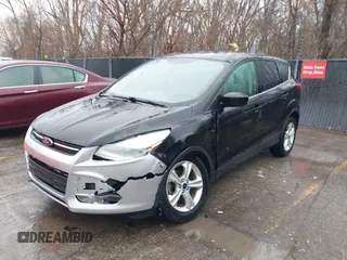 2014 Ford Escape SE with VIN 1FMCU0GX4EUE39511, listed as a IAAI auction lot 41477507 with 151,532 mi miles and . Bid and sale history available at DreamBid. Image 2.