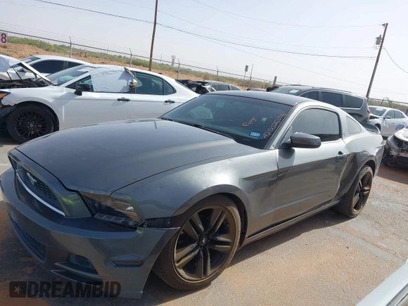 2013 Ford Mustang V6 with VIN 1ZVBP8AM7D5268215, listed as a IAAI auction lot 42302505 with 165,539 mi miles and . Bid and sale history available at DreamBid. Image 13.