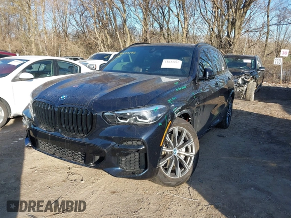2023 BMW X5 xDrive45e with VIN 5UXTA6C01P9R09426, listed as a IAAI auction lot 41833282 with 17,254 mi miles. Bid and sale history available at carsss.com. Image 17.