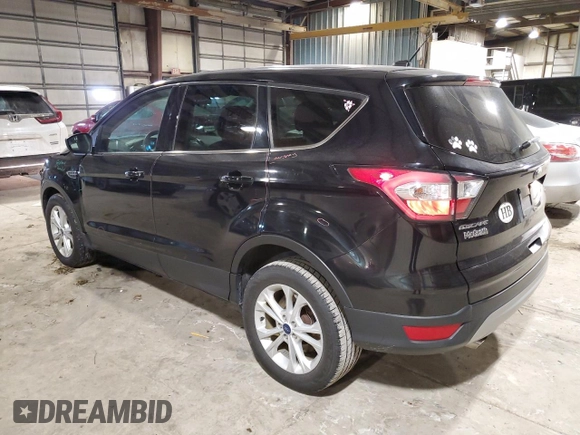 2017 Ford Escape SE with VIN 1FMCU0GD1HUD91766, listed as a Copart auction lot 45478855 with 123,818 mi miles and Salvage Title. Bid and sale history available at carsss.com. Image 2.