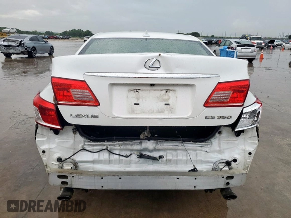 2010 Lexus ES 330 with VIN JTHBK1EG1A2400054, listed as a Copart auction lot 55506805 with 240,289 mi miles and Salvage Title. Bid and sale history available at DreamBid. Image 6.