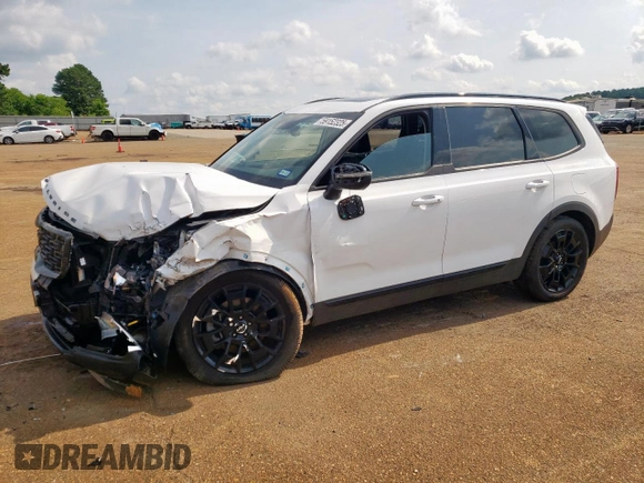 2022 Kia Telluride EX z VIN 5XYP3DHC1NG318982, wystawiony jako Copart lot #59152325 z przebiegiem 62 688 mil mil oraz Szkoda całkowita • Salvage title. Historia ofert i sprzedaży dostępna na DreamBid. Obrazek 1.