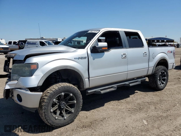 2013 Ford F-150 XL with VIN 1FTFW1EF9DKD79358, listed as a Copart auction lot 48627015 with 136,024 mi miles and Salvage Title. Bid and sale history available at carsss.com. Image 1.