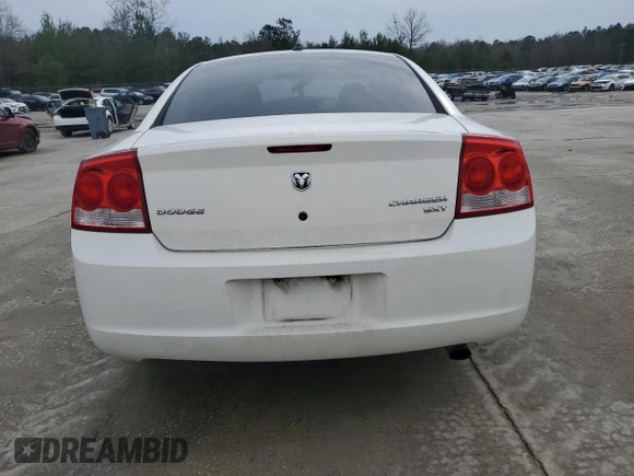 2010 Dodge Charger SXT with VIN 2B3CA3CV7AH106818, listed as a Copart auction lot 45035325 with 166,445 mi miles and Salvage Title. Bid and sale history available at carsss.com. Image 6.