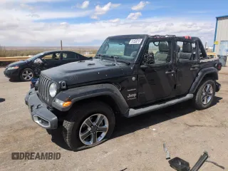 2019 Jeep Wrangler Unlimited Sahara with VIN 1C4HJXEN8KW616980, listed as a Copart auction lot 51253215 with 54,011 mi miles and Salvage Title. Bid and sale history available at DreamBid. Image 1.