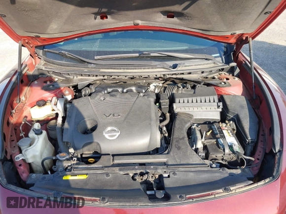 2009 Nissan Maxima SV with VIN 1N4AA51E19C841383, listed as a IAAI auction lot 42132774 with Not Provided miles and . Bid and sale history available at DreamBid. Image 10.