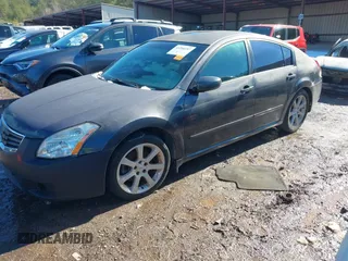 2008 Nissan Maxima 3.5 SL with VIN 1N4BA41E48C828298, listed as a IAAI auction lot 41296157 with 1 mi miles. Bid and sale history available at carsss.com. Image 2.