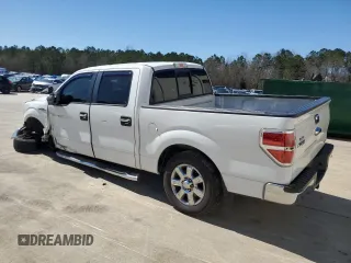 2013 Ford F-150 XL with VIN 1FTFW1CF3DFA09826, listed as a Copart auction lot 48465775 with 173,007 mi miles and Salvage Title. Bid and sale history available at carsss.com. Image 2.