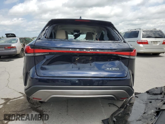 2023 Lexus RX 350 with VIN 2T2BAMBA4PC009721, listed as a Copart auction lot 61285405 with Not provided miles and Salvage title. Bid and sale history available at DreamBid. Image 6.