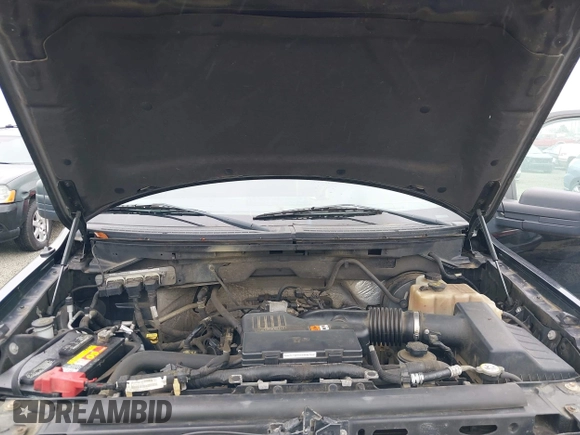 2009 Ford F-150 XL with VIN 1FTRF12W39KB87930, listed as a IAAI auction lot 42367797 with 151,135 mi miles and . Bid and sale history available at DreamBid. Image 10.