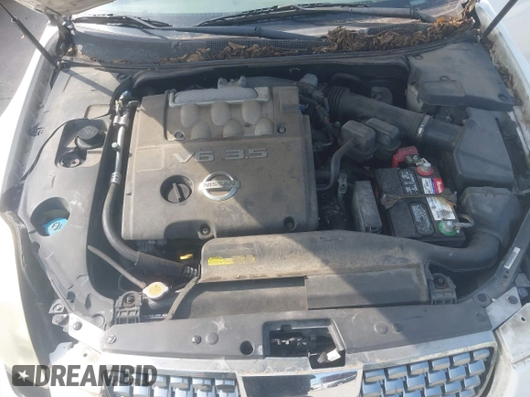 2004 Nissan Maxima SE with VIN 1N4BA41E94C926009, listed as a IAAI auction lot 42583368 with Not provided miles and . Bid and sale history available at DreamBid. Image 10.