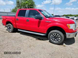 2009 Ford F-150 XL with VIN 1FTPW14V39KC73007, listed as a Copart auction lot 61447595 with 185,983 mi miles and Salvage title. Bid and sale history available at DreamBid. Image 4.