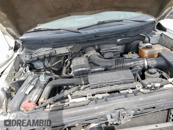 2009 Ford F-150 XL с VIN 1FTPW12V89KB33439, выставлен на аукционе Copart как лот 65005005 с пробегом 209 714 миль миль и Списание • Salvage title. История ставок и продаж доступна на DreamBid. Изображение 11.
