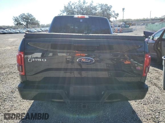 2015 Ford F-150 XLT with VIN 1FTEW1EG2FFB94763, listed as a Copart auction lot 45624385 with 173,654 mi miles and Salvage Title. Bid and sale history available at carsss.com. Image 6.