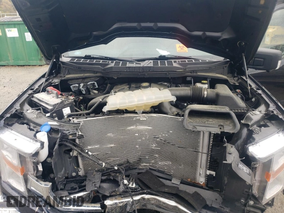 2022 Ford F-150 XL with VIN 1FTFW1E89NKE42820, listed as a Copart auction lot 52447775 with Not Provided miles and Salvage Title. Bid and sale history available at DreamBid. Image 11.