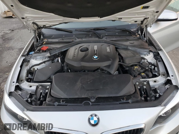 2020 BMW 2 Series 230i with VIN WBA2J1C09L7F46458, listed as a Copart auction lot 42691185 with 43,883 mi miles and Non Repairable. Bid and sale history available at carsss.com. Image 11.