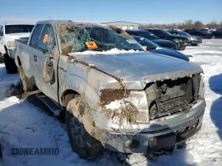 2011 Ford F-150 XL with VIN 1FTFX1ET2BFD29572, listed as a Copart auction lot 87320264 with 232,370 mi miles and Salvage Title. Bid and sale history available at carsss.com. Image 4.
