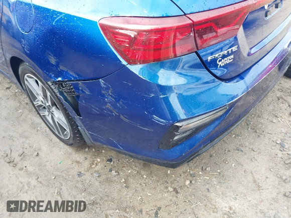 2019 Kia Forte S with VIN 3KPF34AD1KE039765, listed as a IAAI auction lot 41710098 with 119,652 mi miles. Bid and sale history available at carsss.com. Image 17.