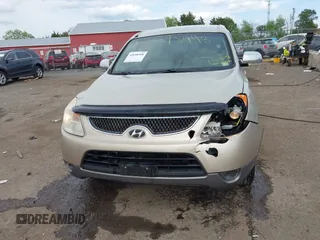 2007 Hyundai Veracruz GLS z VIN KM8NU73C07U012298, wystawiony jako IAAI lot #42098998 z przebiegiem 151 228 mil mil oraz . Historia ofert i sprzedaży dostępna na DreamBid. Obrazek 6.