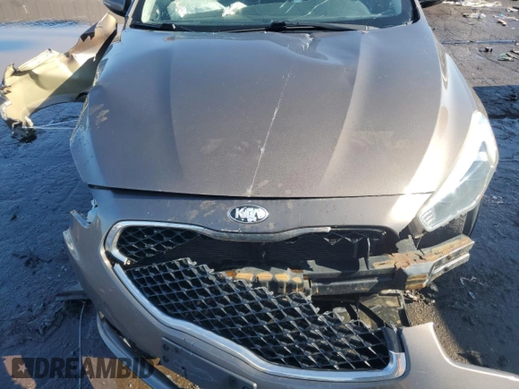 2014 Kia Cadenza Premium with VIN KNALN4D72E5164290, listed as a Copart auction lot 46880435 with Not Provided miles and Salvage Title. Bid and sale history available at DreamBid. Image 11.