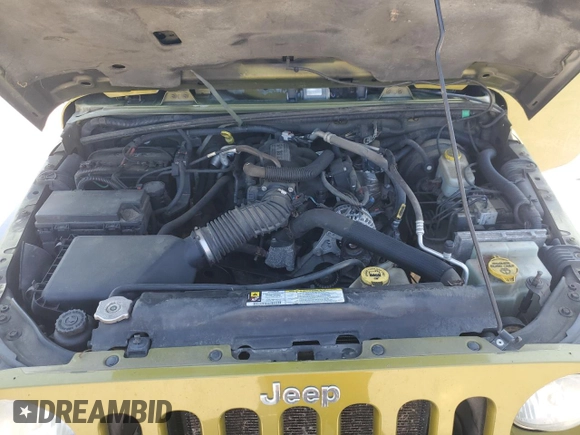 2010 Jeep Wrangler Sahara with VIN 1J4AA5D16AL203910, listed as a Copart auction lot 62891315 with 124,337 mi miles and Salvage title. Bid and sale history available at DreamBid. Image 12.